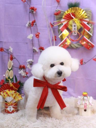 20230128ププくん